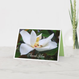 Agradecimiento Tarjeta de felicitaciones a Magnolia y Honeybees