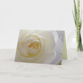 Agradecimiento Tarjeta de flor blanca Rosa Tarjeta de saludo de f
