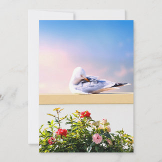 Agradecimiento Tarjeta de fotografía de gaviota, regalo de natura