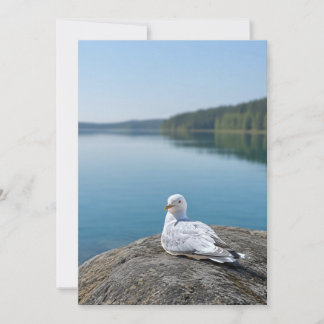 Agradecimiento Tarjeta de fotografía de gaviota, regalo de natura