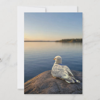 Agradecimiento Tarjeta de fotografía de gaviota, regalo de natura