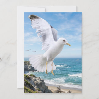Agradecimiento Tarjeta de fotografía de gaviota, regalo de natura