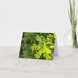 Agradecimiento tarjeta de hojas de roble verde iluminadas por el 