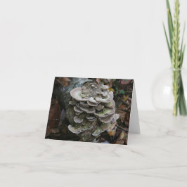 Agradecimiento Tarjeta de hongos poliporos (en blanco)