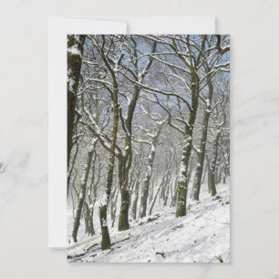 Agradecimiento Tarjeta de invierno Macclesfield Forest