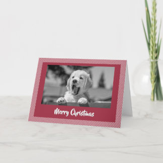 Agradecimiento Tarjeta de Navidad de Golden Retriever Sonriente