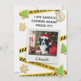 Agradecimiento Tarjeta de Navidad divertida de perro con escena d