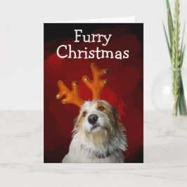 Agradecimiento Tarjeta de Navidad peluda del perro