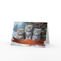 Tarjeta de navidades de gatitos de acorazado britá