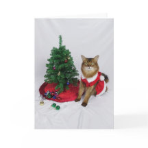Tarjeta de Navidades decorativos de árbol de gato
