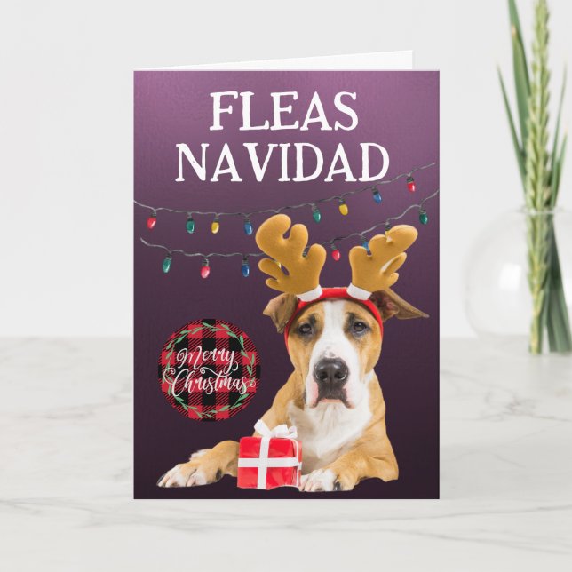 Agradecimiento Tarjeta de Navidades personalizados de Staffordshi (Anverso)