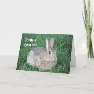 Agradecimiento Tarjeta de pascua del conejo