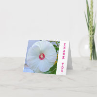 TARJETA DE personalizable "GRACIAS"/HIBISCO BLANCO