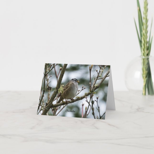 Agradecimiento Tarjeta de pollo de primavera (Anverso)