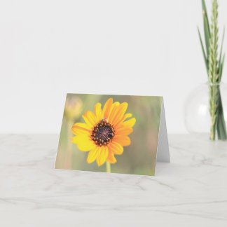 Agradecimiento Tarjeta de presentación de abeja en Coreopsis