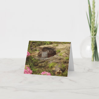 Agradecimiento tarjeta de ratón para bebé