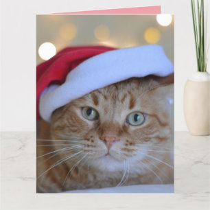 Agradecimiento TARJETA DE RECIBIMIENTO CAT DE CUTE GINGER PARA na