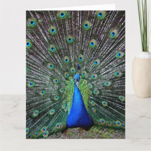 AGRADECIMIENTO TARJETA DE RECIBIMIENTO DE PEACOCK ART BIG BIRTHDA