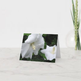 Agradecimiento tarjeta de Rosa de Sharon (Hibiscus syriacus 'Dian
