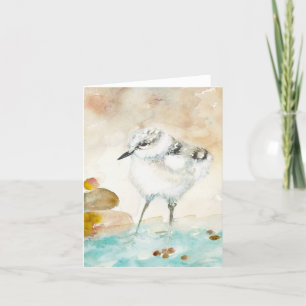 Agradecimiento Tarjeta de saludo BLANK Plover Piping