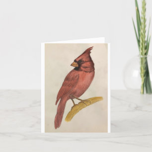 Agradecimiento Tarjeta de saludo con pintura de cardenal