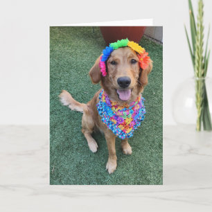 Agradecimiento Tarjeta de saludo de verano Golden Retriever