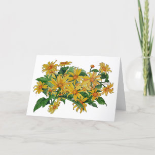 Agradecimiento Tarjeta de saludo en blanco Daisies amarillos