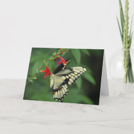 Agradecimiento Tarjeta de saludo en blanco para mariposa de cola