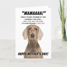 Tarjeta de saludo materno de Weimaraner