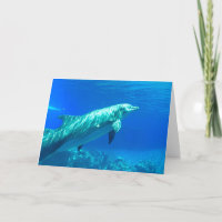 Tarjeta de saludo para delfines