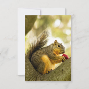 Agradecimiento Tarjeta de saludo personalizada Adorable Squirrel