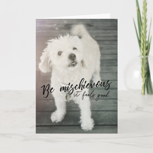 Agradecimiento Tarjeta de saludo THUMPER DOG (Anverso)