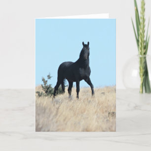 Agradecimiento Tarjeta de saludo Wild Stallion Voodoo