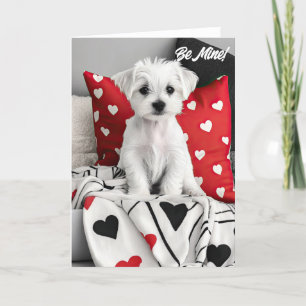 Agradecimiento Tarjeta de San Valentín maltesa Terrier