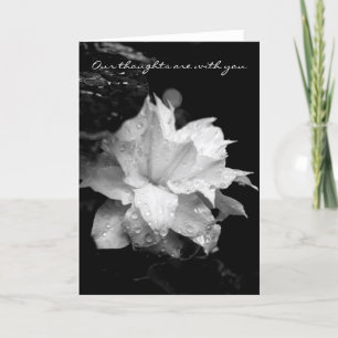 Agradecimiento Tarjeta de simpatía de Clematis Dewdrop 2 Condolen