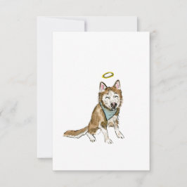 Agradecimiento Tarjeta de simpatía para perros arco iris