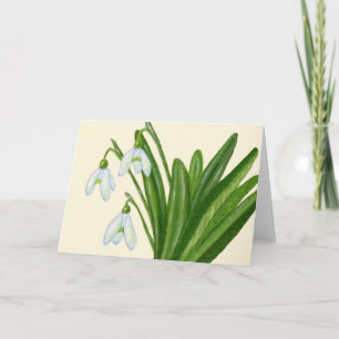 Agradecimiento Tarjeta de Snowdrops
