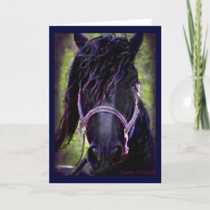 Agradecimiento Tarjeta de Stallion Friesian