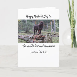 Agradecimiento Tarjeta del Día de la Madre de Cockapoo