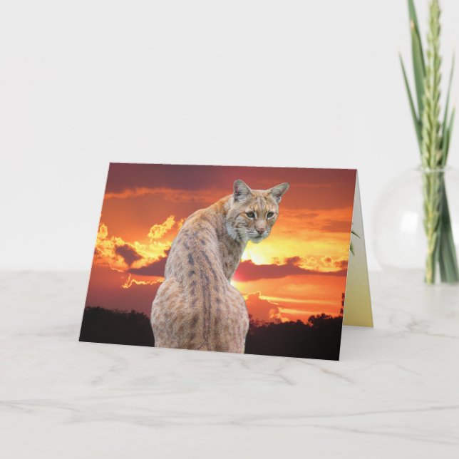 Agradecimiento Tarjeta doblada de Lince de Florida con hermosa pu (Anverso)