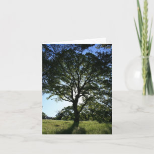 Agradecimiento Tarjeta en blanco, árbol de roble