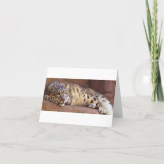 Agradecimiento Tarjeta en blanco Snow Leopardo de Nieve peligrosa
