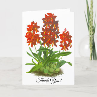 Agradecimiento Tarjeta personalizada de flor de orquídea roja nar