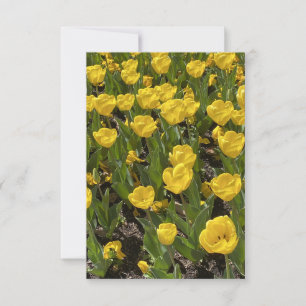 Agradecimiento Tarjeta plana en blanco - Bella bolera de tulipane