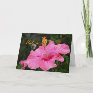Agradecimiento Tarjeta rosada del hibisco de Hawaii