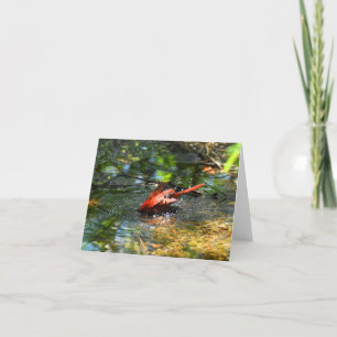Agradecimiento Tiempo de baño en rojo (cardenal #1) - Tarjeta de 