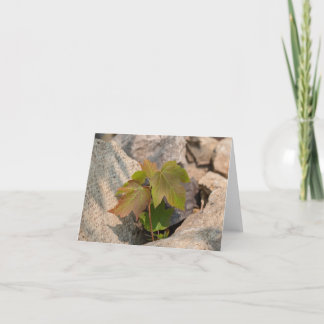 Agradecimiento Touch de la Naturaleza - Tarjeta de felicitación y