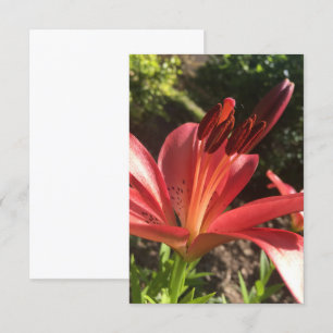 Agradecimiento Un toque de la tarjeta Z "Flor roja sólida"