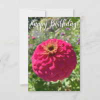 Una insinuación de la tarjeta Z "Feliz Cumpleaños"