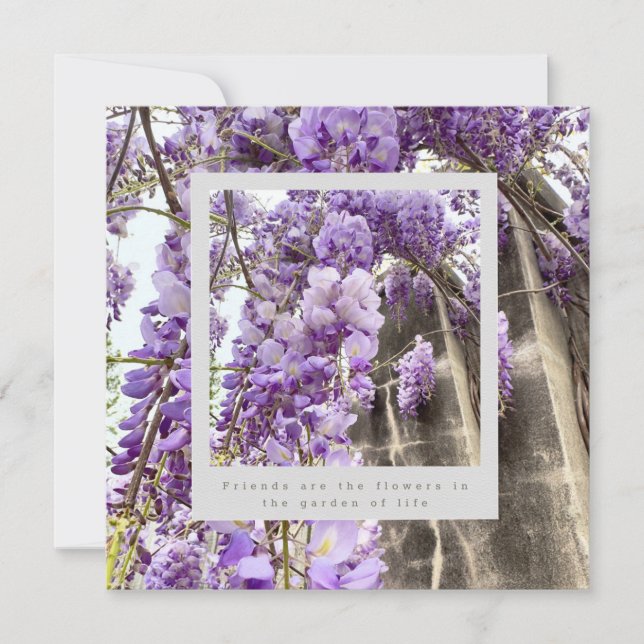 Agradecimiento Una tarjeta de amistad (Anverso)